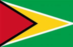 The flag of Guyana.