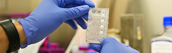 Hands holding lab equipment