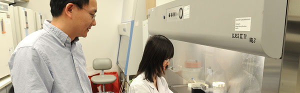 Researcher Yanqiao Zhang, M.D.