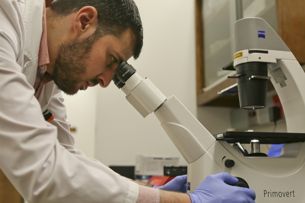 Nazar Hussein looking through microscope