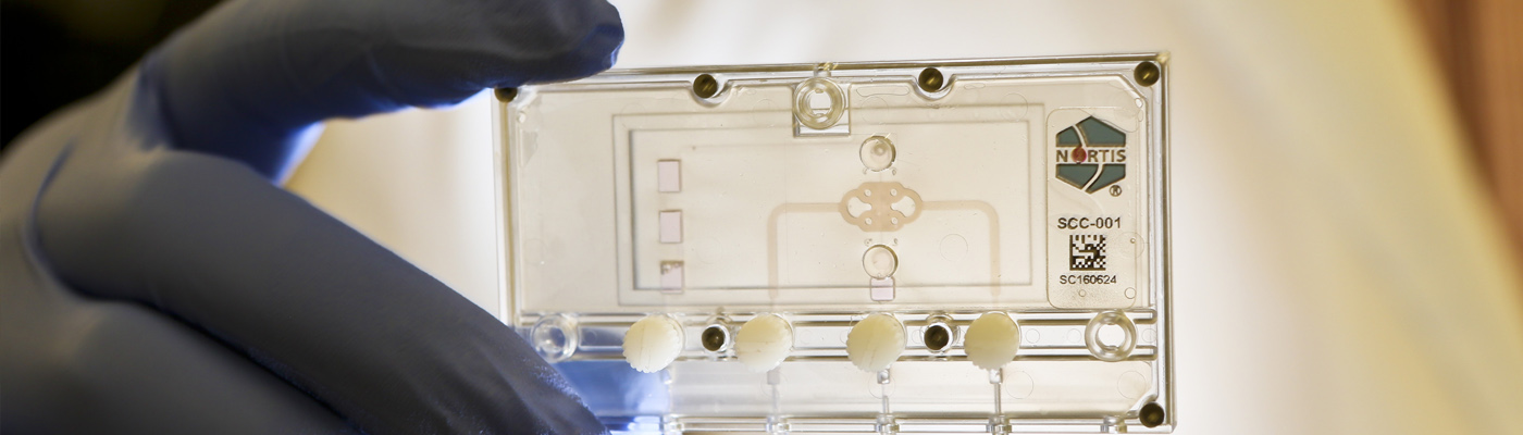 Researcher holding a chip