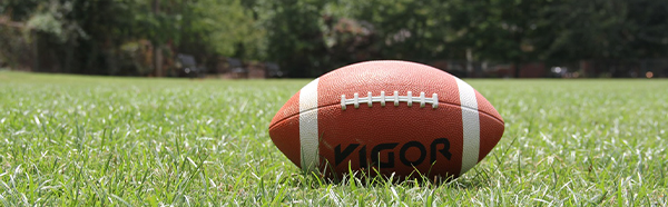 Football sitting on grassy field