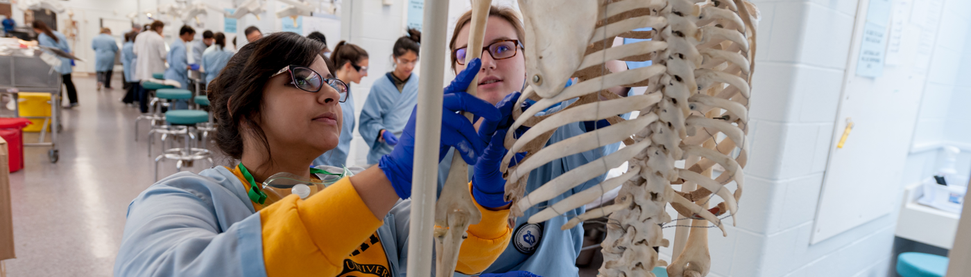 Students in an anatomy lab